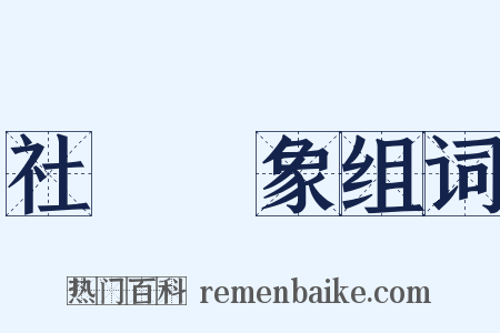 社會現象组词是什么意思的图片